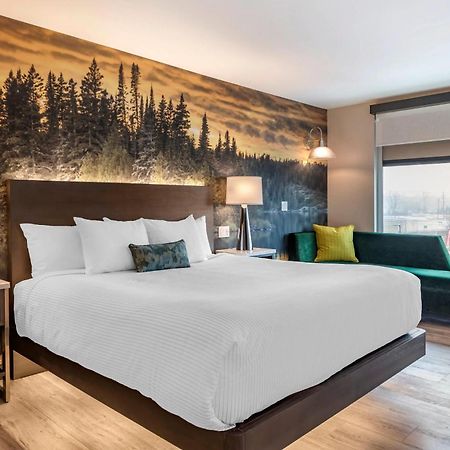 Cambria Hotel Shelby Township - Detroit Utica Shelby Twp Экстерьер фото