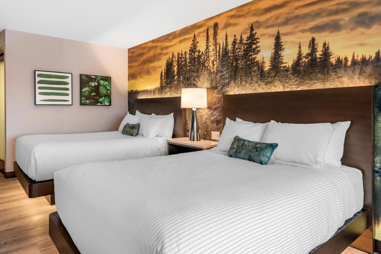 Cambria Hotel Shelby Township - Detroit Utica Shelby Twp Экстерьер фото