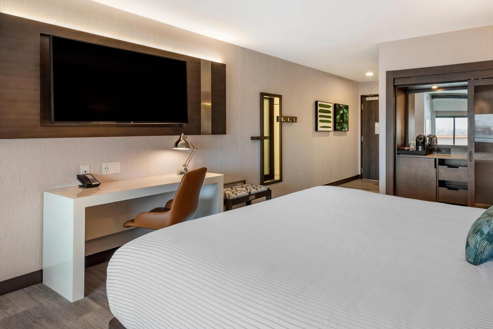 Cambria Hotel Shelby Township - Detroit Utica Shelby Twp Экстерьер фото