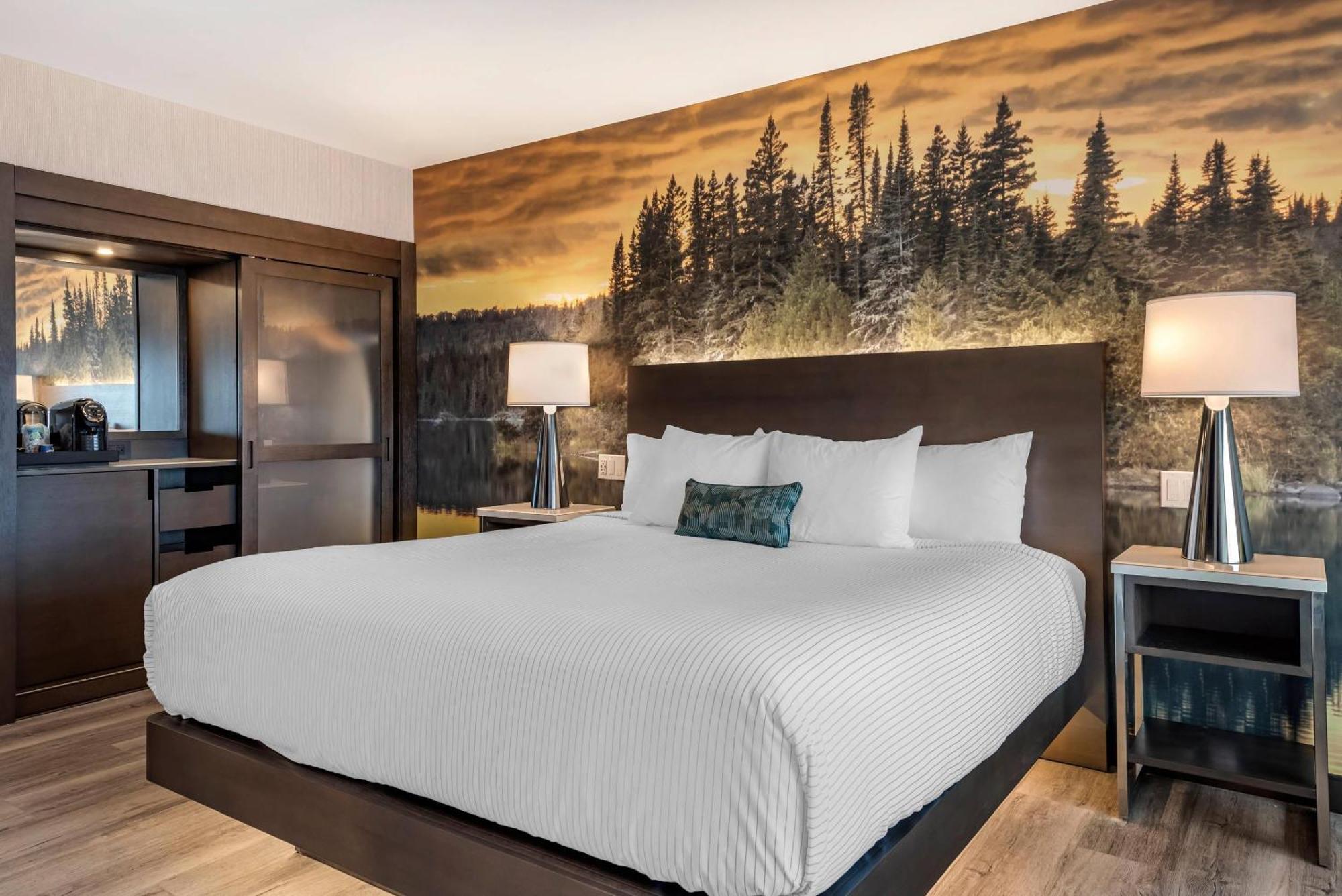 Cambria Hotel Shelby Township - Detroit Utica Shelby Twp Экстерьер фото