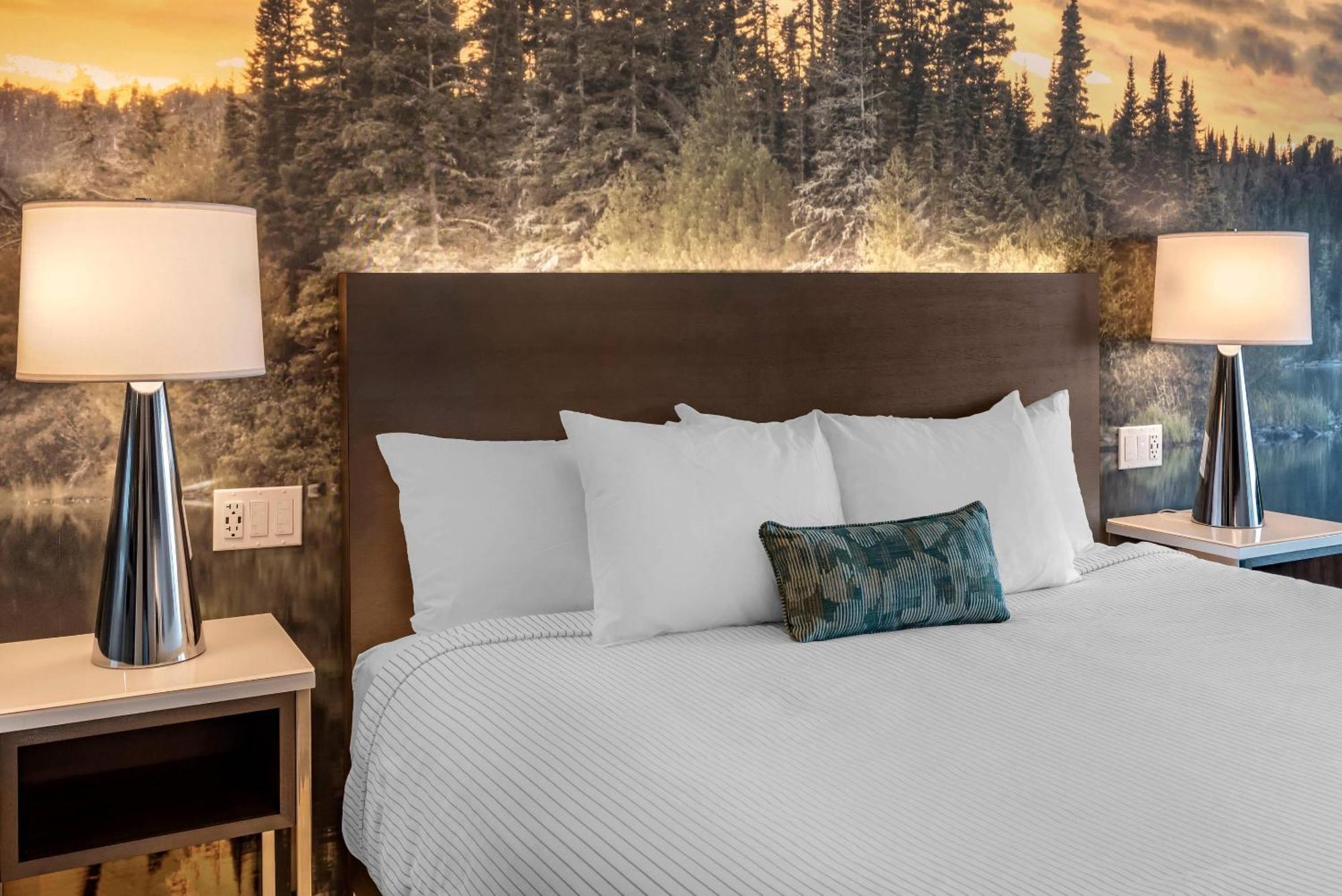 Cambria Hotel Shelby Township - Detroit Utica Shelby Twp Экстерьер фото