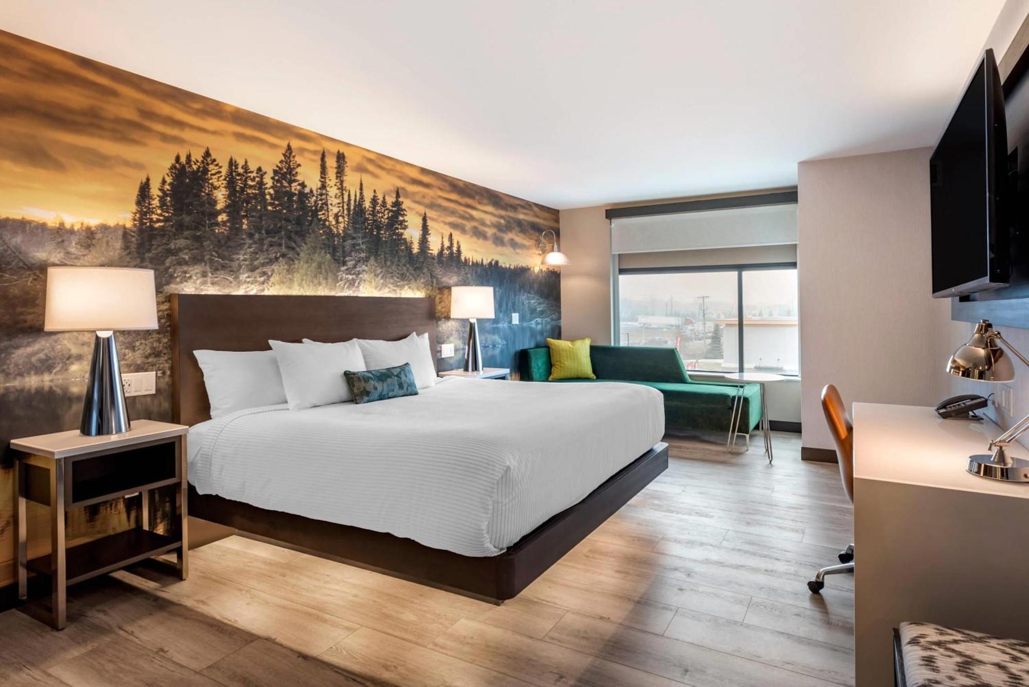 Cambria Hotel Shelby Township - Detroit Utica Shelby Twp Экстерьер фото