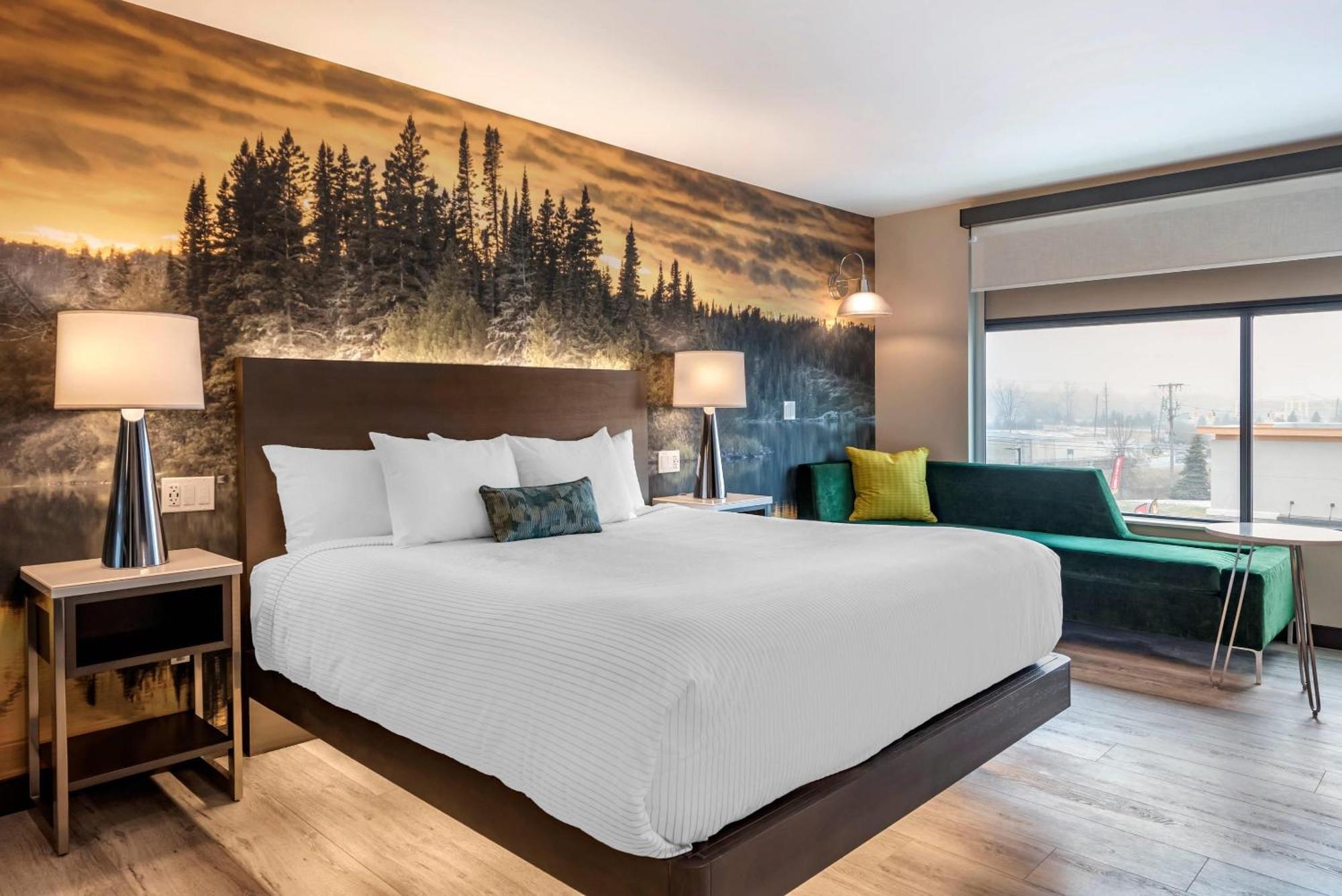 Cambria Hotel Shelby Township - Detroit Utica Shelby Twp Экстерьер фото